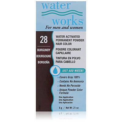 Waterworks Permanent Powder Hair Color #28 Burgundy