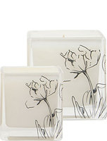 Infusion Organique Buddha's Fig Soy Candle