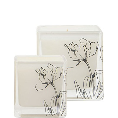 Infusion Organique Buddha's Fig Soy Candle