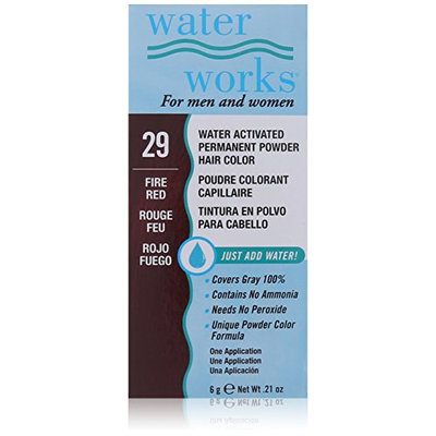 Waterworks Permanent Powder Hair Color #29 Fire Red