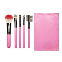 Beauty Pro Series 5 pc Folder Brush Set Pink
