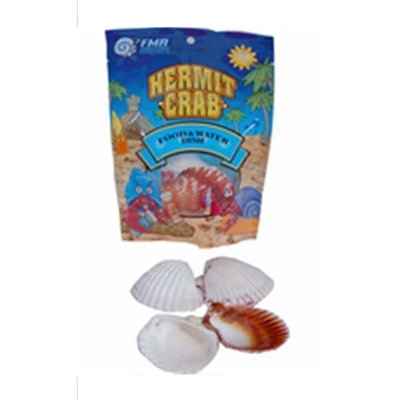 Florida Marine Research SFM33334 6-Pack Small Animal Feed and Water Shell Dish