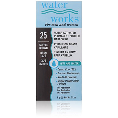 Waterworks Permanent Powder Hair Color #25 Coffee Brown
