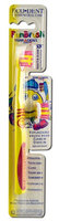 Terradent Funbrush Toothbrush with Refill and Toothbrush