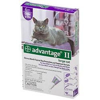 Is Advantage For Cats Safe For Kittens Is Advantage For Cats Safe For Kittens