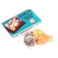 Topdawg Pet Supply Hermit Crab Shell - Large 2pk -6pc