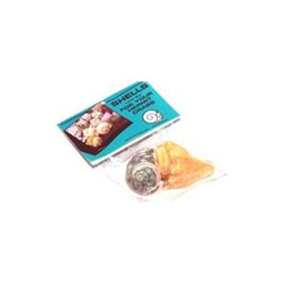 Topdawg Pet Supply Hermit Crab Shell - Large 2pk -6pc