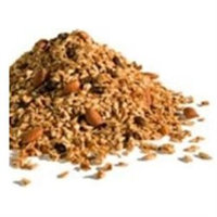 GOLDEN TEMPLE BAKERY Natural Strwberry Vanilla Hmp Granola