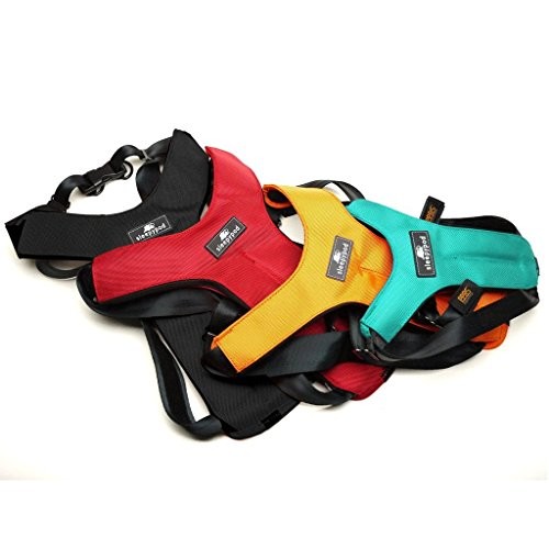 Sleepypod Clickit Sport Safety Harness
