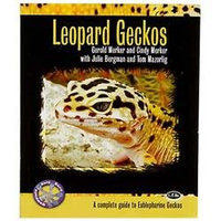 Tfh/nylabone Leopard Geckos: A Complete Guide to Eublepharine Geckos