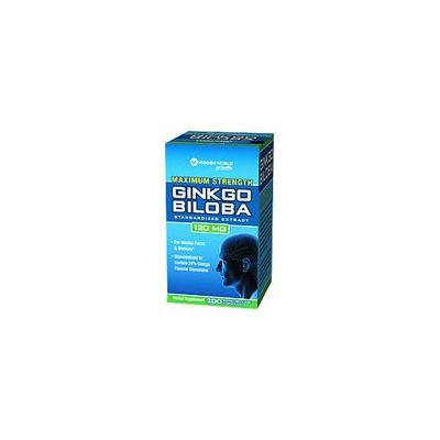 GINKGO BILOBA EXTRACT 120 mg MAXIMUM STRENGTH