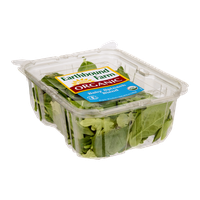 Earthbound Farm Organic Baby Spinach Blend