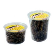 Enchantacat Organic Catnip Buds Container, 0.5-Ounce