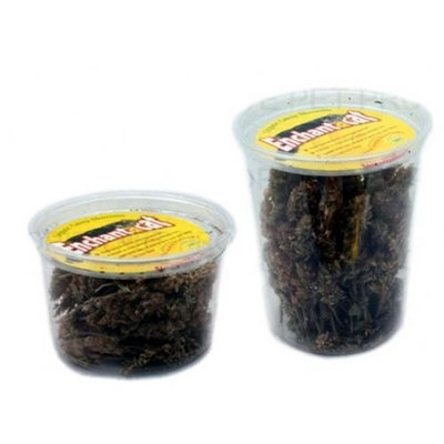 Enchantacat Organic Catnip Buds Container, 0.5-Ounce