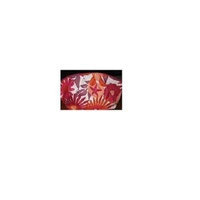 Clinique Red and Orange Flowered Makeup Bag