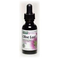 Nature's Plus Herbal Actives Olive Leaf - 125 mg - 1 fl oz