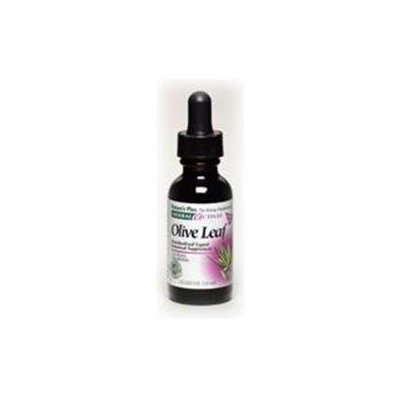 Nature's Plus Herbal Actives Olive Leaf - 125 mg - 1 fl oz