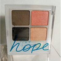 L'Oréal Paris Color of Hope Wear Infinite Eye Shadow Quad