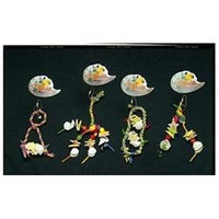 Prevue Pet Products Cal-Sea-Yums Braid