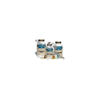 Freeda Kosher Chewable Cal/Mag - 250 CHW
