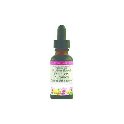 Eclectic Institute Echin Prem Blend Kids(Rasp) - 2 Ounces Liquid - Other Herbs