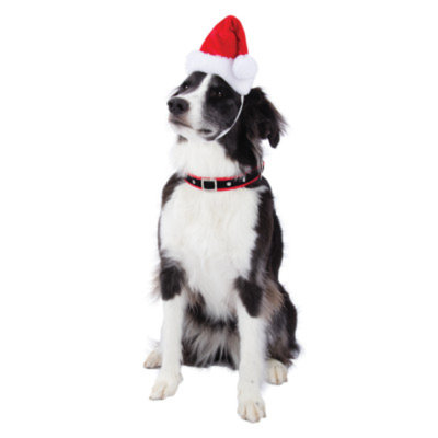Top PawA Pet HolidayTM Music & LED Santa Hat