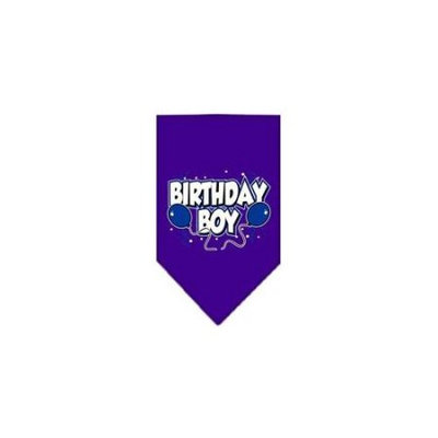 Ahi Birthday Boy Screen Print Bandana Purple Small