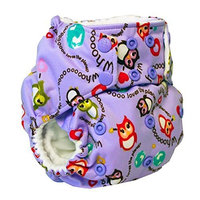 Rumparooz One Size Cloth Pocket Diaper Snap, EcoOwl (Eco Owl