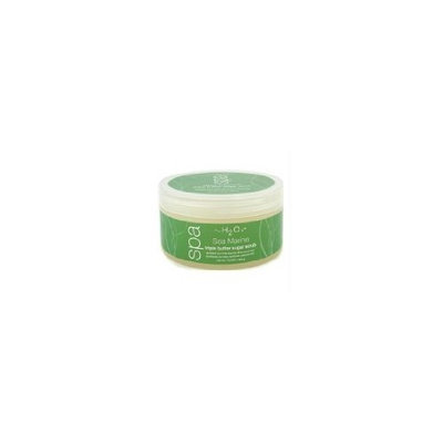 H2O+ Sea Marine Triple Butter Sugar Scrub for Unisex, 11.5 Ounce