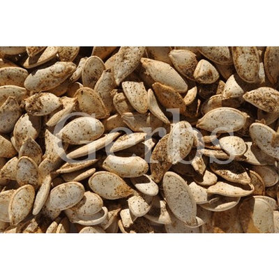 Gerbs Salt & Pepper N Shell Pumpkin Seeds Gluten-Free, 3.5 oz. (Case of 12)
