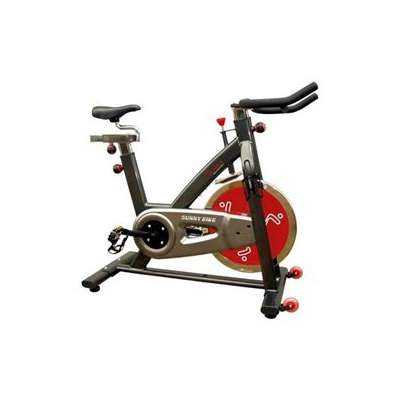 Sunny Health & Fitness SF-RB801 Magnetic Recumbent Bike