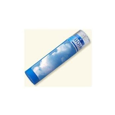 Aesculus Hippocastan 6C MD Boiron 1 Tube Pellet