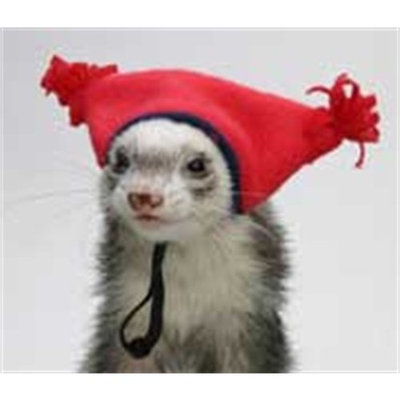 Marshall Pet Products Marshall Ferret Cap