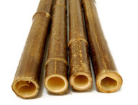 Backyard X-scapes, Llc Backyard X-Scapes Bamboo Poles Black 1