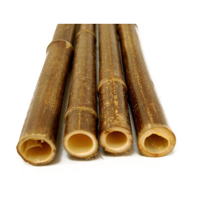 Backyard X-scapes, Llc Backyard X-Scapes Bamboo Poles Black 1