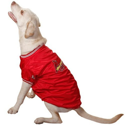 Sporty K9 Cardinals Dugout Jacket for Dogs, X-Small