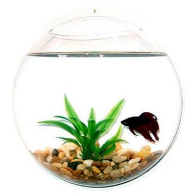 Danya B. Wall Mount Fishbowl - Clear