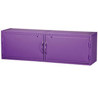Master Equipment TP5300 79 Color Overhead Tub Cabinet Purple