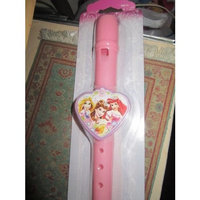 Disney Princess Flute Recorder