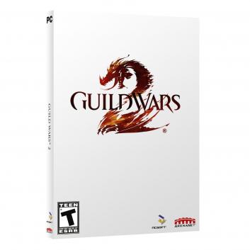 Guild Wars 2 Video Game