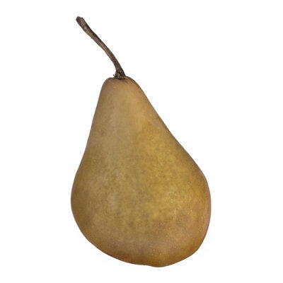Pears Bosc