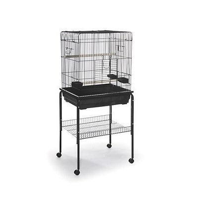 Prevue Pet Products BPV25217 Parrot Square Roof Cage, 25 by 21-Inch, Black