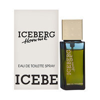 Iceberg Homme by Iceberg EDT Spray