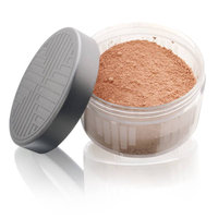 Charles of the Ritz Custom Blended Powder
