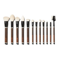 Sonia Kashuk Limited Edition Brush Set Exotic Artisan 12 pc, Mixed Color