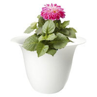 Bloem Living, LLC Bloem 10