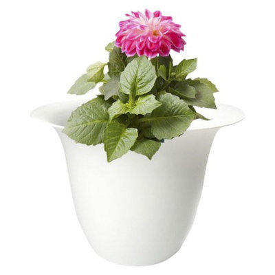 Bloem Living, LLC Bloem 10