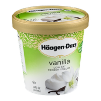 Haagen-Dazs Low Fat Frozen Yogurt Vanilla
