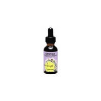 Gentian Herbs of Light 1 oz Liquid