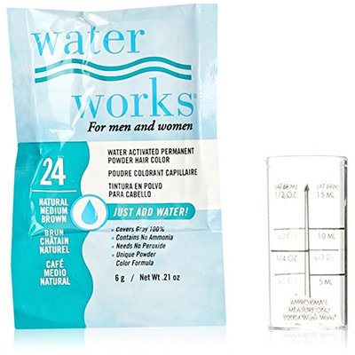 Waterworks Permanent Powder Hair Color #24 Natural Medium Brown